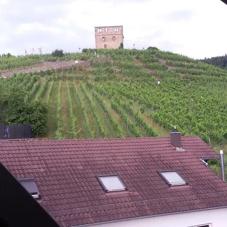 Giebelzimmer Mit Weinbergblick Appartamento *