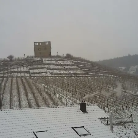 Διαμέρισμα Giebelzimmer Mit Weinbergblick Stetten (Kernen)